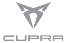 CUPRA_cinza